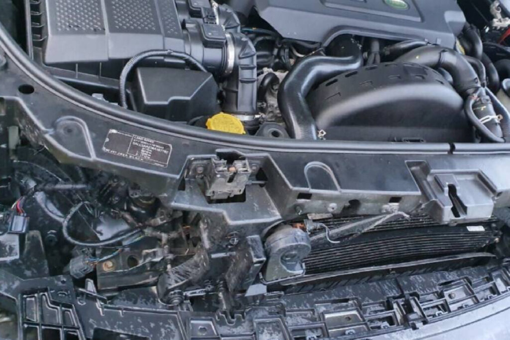 Darari Auto Maint: Engine Repair